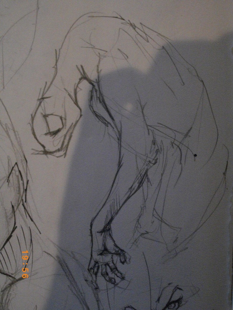 imgp1634.jpg