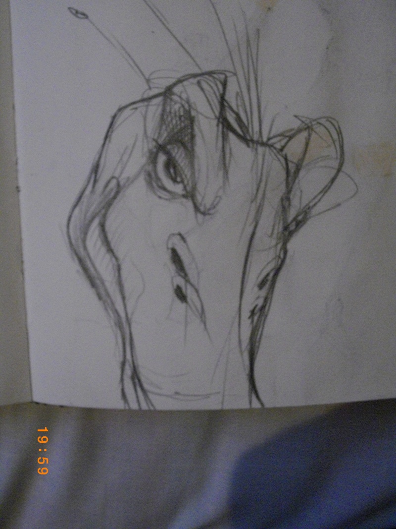 imgp1639.jpg