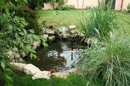 petit bassin de jardin naturel