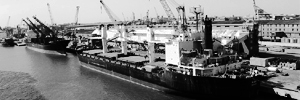 THE PORT