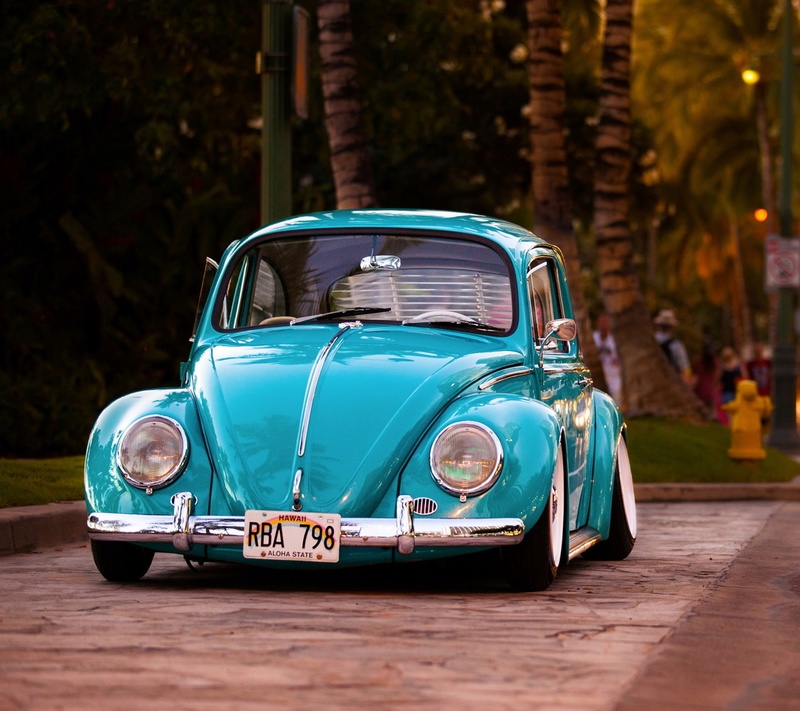 beetle10.jpg
