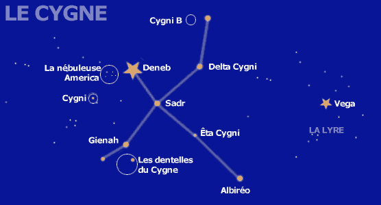 La Constellation Du Cygne La Croix Du Nord Les Ailes Immortelles