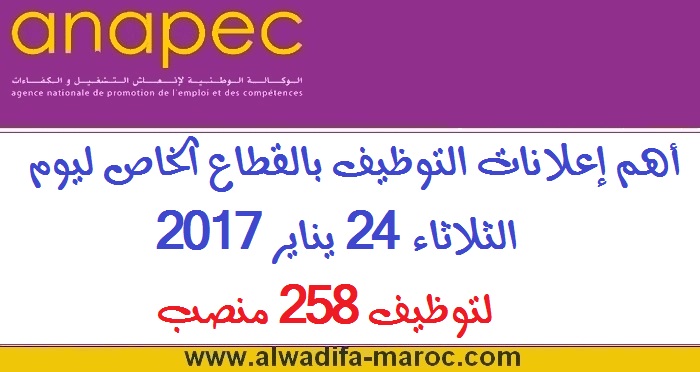 الوكالة الوطنية لإنعاش التشغيل والكفاءات: أهم إعلانات التوظيف بالقطاع الخاص ليوم الثلاثاء 24 يناير 2017 لتوظيف 258 منصب