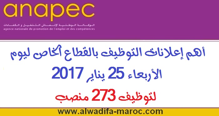 الوكالة الوطنية لإنعاش التشغيل والكفاءات: أهم إعلانات التوظيف بالقطاع الخاص ليوم الأربعاء 25 يناير 2017 لتوظيف 273 منصب