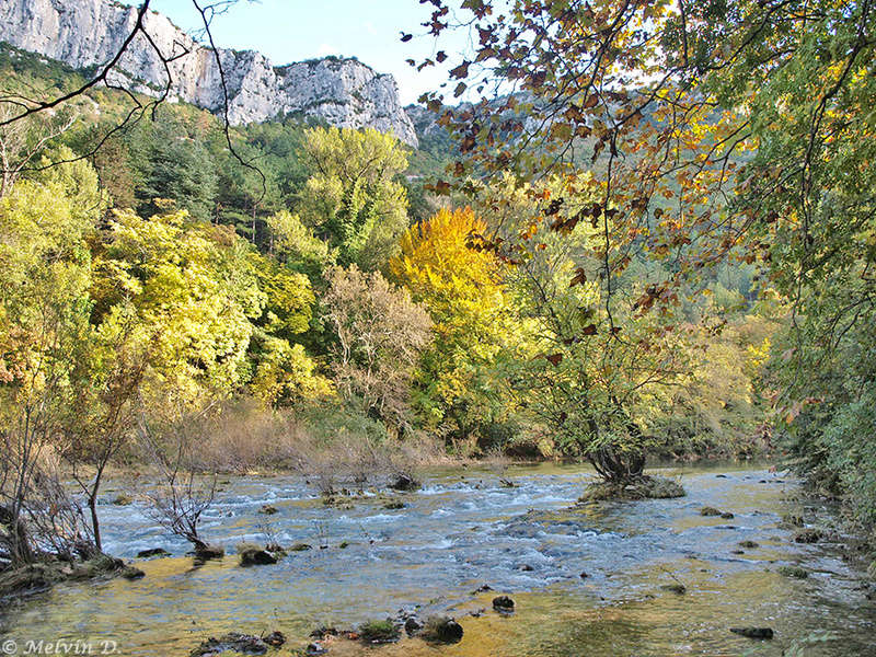 Image hébergée par servimg.com