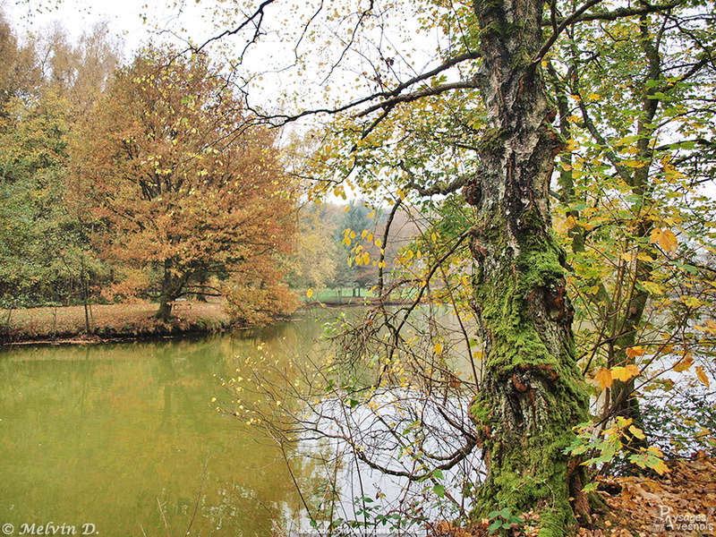 Image hébergée par servimg.com