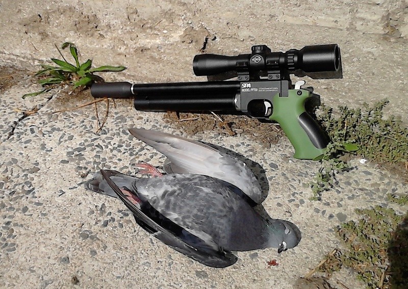 any air pistol hunters out there