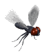insect10.gif