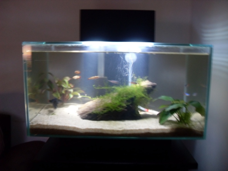 My Fluval Edge!