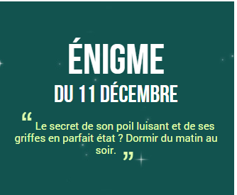 enigme11.png