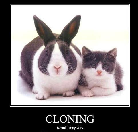 clonin10.jpg