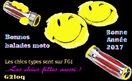 fgifcc16.gif