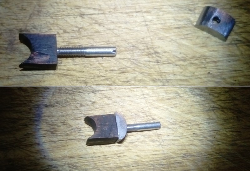 16_pet11.jpg