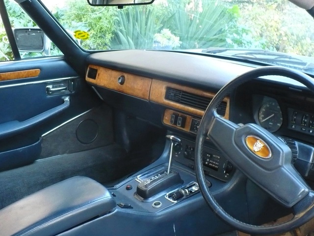 jag310.jpg