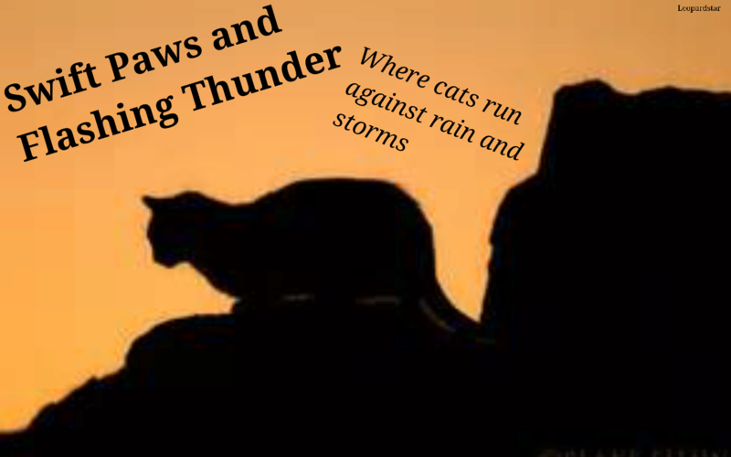 Swift Paws and Flashing Thunder