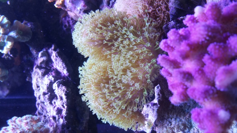 20161118.jpg