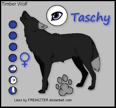 taschy12.png
