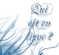Qui est en ligne ?