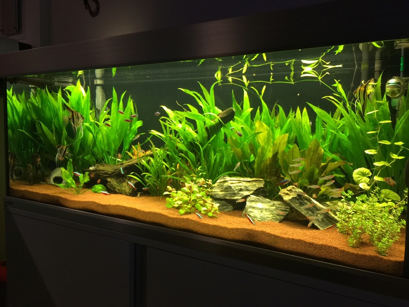 Eclairage et rampe led aquarium Lampe à LED ultra-fine pour